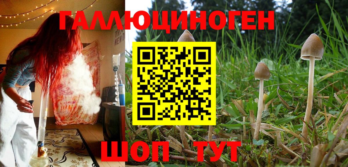 Галлюциногенные грибы MAGIC MUSHROOMS  Галлюциногенные грибы Psilocybe  где купить наркотик  Кубинка  Вход с VPN 