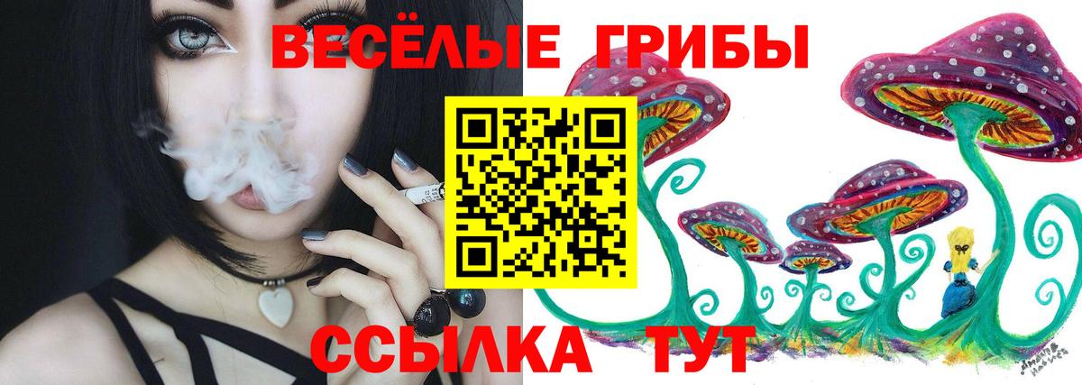 Галлюциногенные грибы Magic Shrooms Кубинка